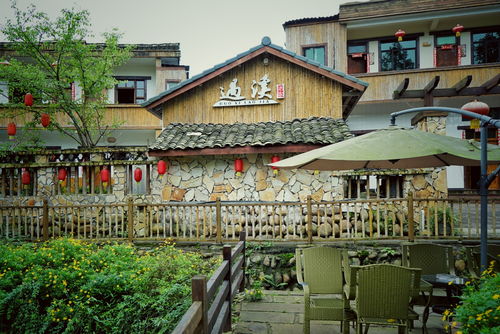 成都周邊最美的古風休閑度假地,山美水美茶香四溢