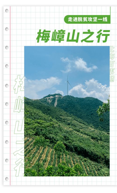 探秘 北海第一高峰上有什么 超美茶田 風力發電機
