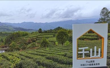 首屆陜西網上茶博會走進"天府之國"漢中