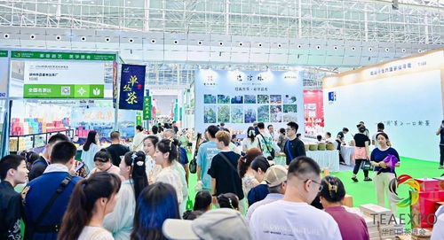 大美新疆 茶香絲路, 2024新疆茶博會盛大開幕