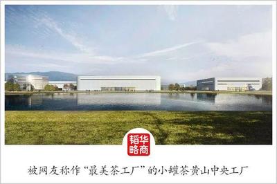 從金罐到多泡,杜國楹的小罐茶又下什么棋?