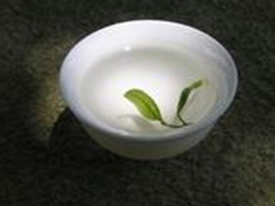 加盟品茶匯 打造賺錢利器，共享美茶事業