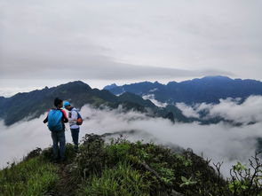 夏初春色 大美茶巖頂